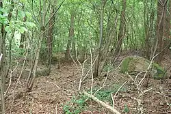 Großsteingrab Wanna 8