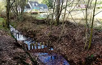 Leimbach im Bypass auf der Südseite der ehem. Fischteiche