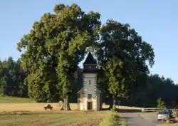 Die Kapelle in der markanten Baumgruppe nach dem Turmbrand