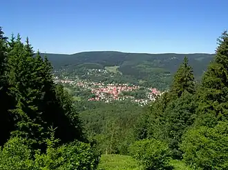 Großer Beerberg, Thüringer Wald
