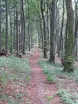 Hermannsweg am Großen Freeden