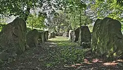 Großsteingrab Lengerich-Wechte I