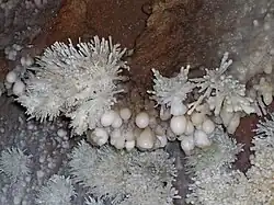 Aragonit „Sterne“ und kugelförmige Versinterungen