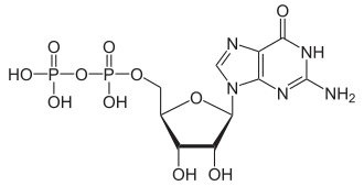 Struktur von Guanosindiphosphat