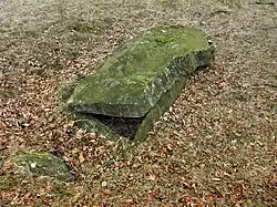 Kleine Steinkisten wie die von Bostället sind häufiger