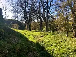 Höll­bach (2022), erste Schlucht