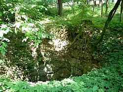 Einer der tieferen "Höllentrichter" bei Osterdorf