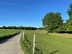 Höllsbachtal am Bornshof