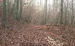 Blick vom Inneren der Anlage auf den früheren Zugang auf der Westseite