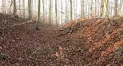 Der äußere Burggraben, rechts der äußere Wall