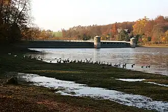 Im Herbst finden sich größere Gruppen von Gänsen zur Überwinterung ein