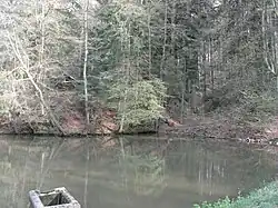 Bild 4: Ansicht des Burghügels und des westlichen Teils des inneren Grabens