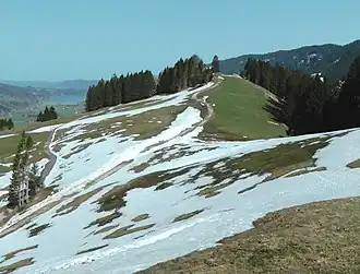 Blick vom Hündlekopf auf den Gipfel des Hochsiedel