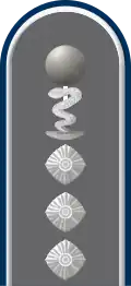 Dienstgradabzeichen auf der Schulterklappe der Jacke des Dienstanzuges für Heeresuniformträger der Sanitätstruppe
