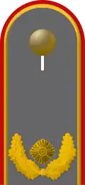 Dienstgradabzeichen eines Brigadegenerals auf Schulterklappe der Jacke des Dienstanzuges für Heeresuniformträger