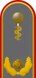 Dienstgradabzeichen eines Generalarztes (Approbation für Humanmedizin) auf der Schulterklappe der Jacke des Dienstanzuges für Heeresuniformträger