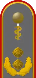 Dienstgradabzeichen auf der Schulterklappe der Jacke des Dienstanzuges für Heeresuniformträger der Sanitätstruppe (Humanmedizin).