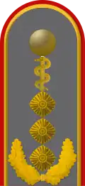 Dienstgradabzeichen eines Generaloberstabsarztes (Approbation für Humanmedizin) auf der Schulterklappe der Jacke des Dienstanzuges für Heeresuniformträger