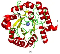 Hydroxymethylglutaryl-CoA-Lyase