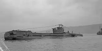 Die Taciturn am 1. November 1946