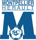 HSC Montpellier (1989–2004)