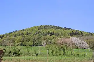 Der Habersberg von Großkahl gesehen