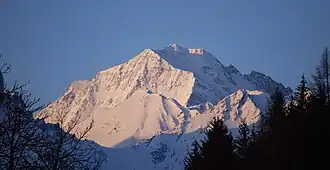 Habicht von Nordosten