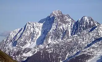 Der Habicht von Südwesten