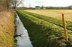 Haferriede östlich von Gehrden