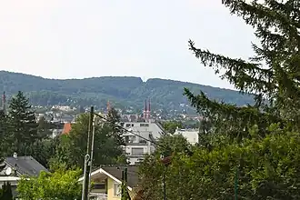 Blick vom Rosenhügel auf den bewaldeten Hagenberg