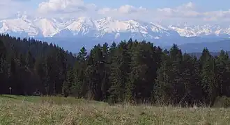 Blick von der Gipfelalm auf die Tatra