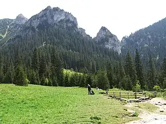 Von der Alm Hala Pisana
