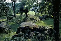 Der Opferhain von Halahult