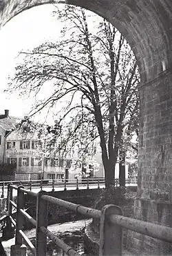 Historische Ansicht des unverdolten Bachs unter dem Viadukt