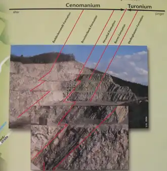 Schema des paläontologischen Aufschlusses