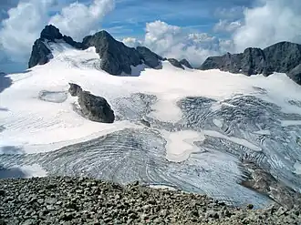 Hallstätter Gletscher im Jahr 2008