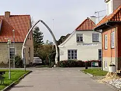 Walkiefer – Wahrzeichen von Hals