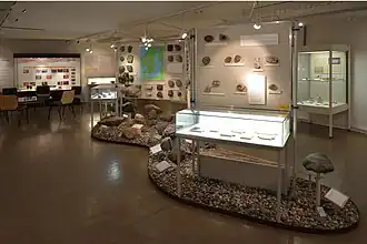 Blick in die Ausstellung