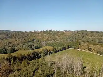 Blick vom Weifberg (2024)