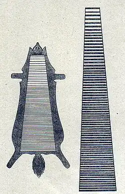Quergalonieren eines Blaufuchses für einen Besatz oder ein Innenfutter, vor 1900