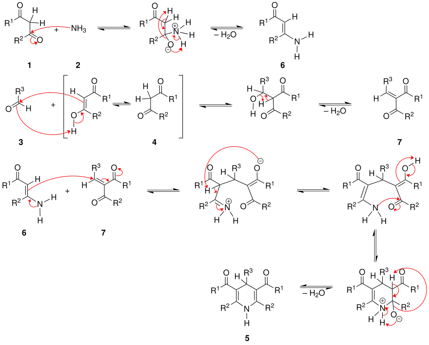 Mechanismus der Hantzschschen-Dihydropyridinsynthese
