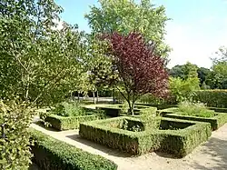 Heckengarten im Schulgarten