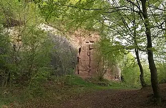 Aufgelassener Steinbruch auf dem Haselberg mit dickbankigem Stubensandstein