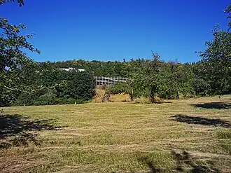 Blick von der Esskastanienallee zum Hasenkopf