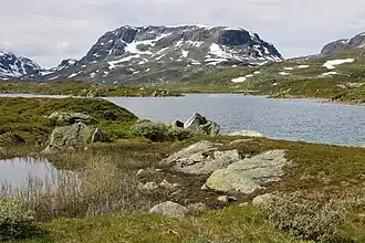 Haukelifjell