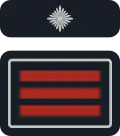 stv. Wehrführer/-in