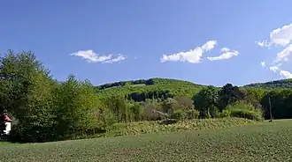 Kohlreithberg von Maria Anzbach