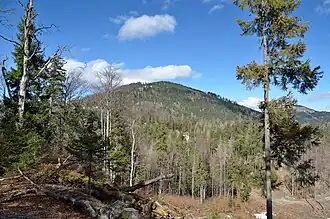 Hegerberg von Süden