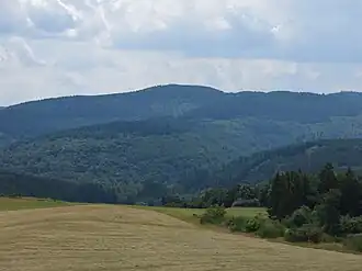 Heidekopf von Nordosten, aufgenommen vom Aussichtspunkt Sauerland-Stabil-Stuhl