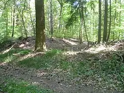 Der erste Abschnittswall